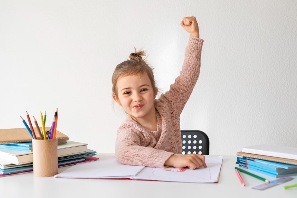 Online schooling helps accommodate students with all learning styles and needs.